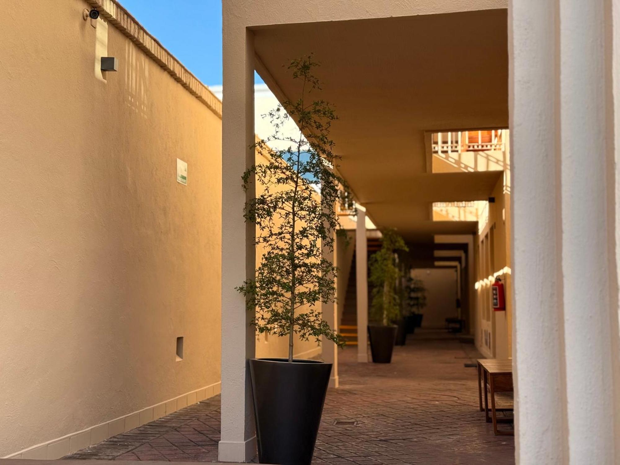 Villa La Palma Hotel Текила Экстерьер фото