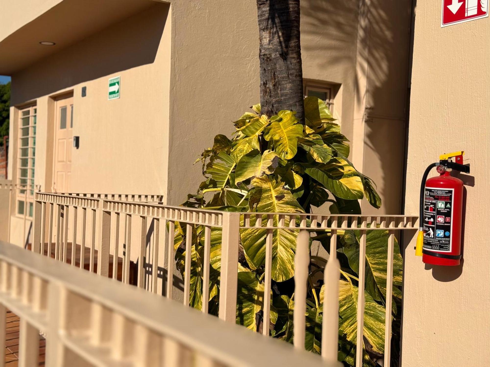 Villa La Palma Hotel Текила Экстерьер фото
