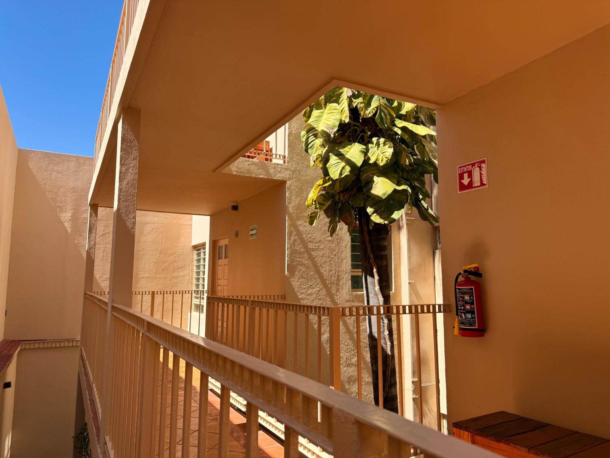 Villa La Palma Hotel Текила Экстерьер фото